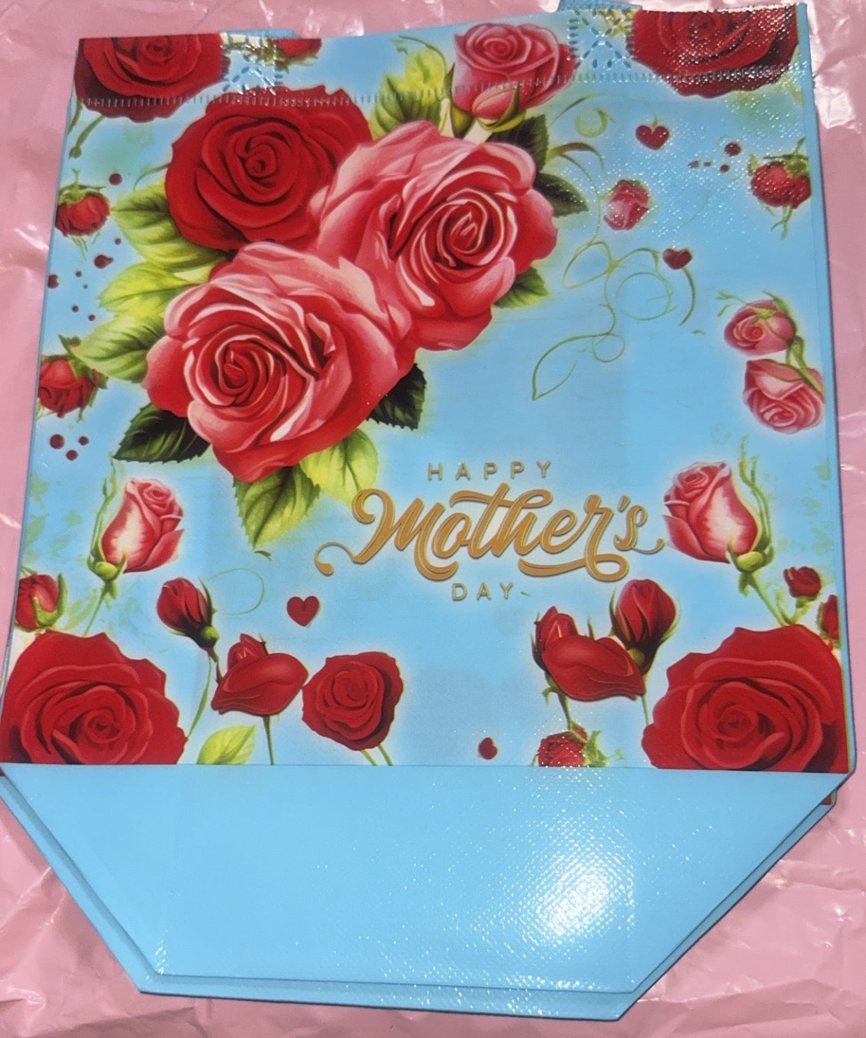 Reusable Reg Bag