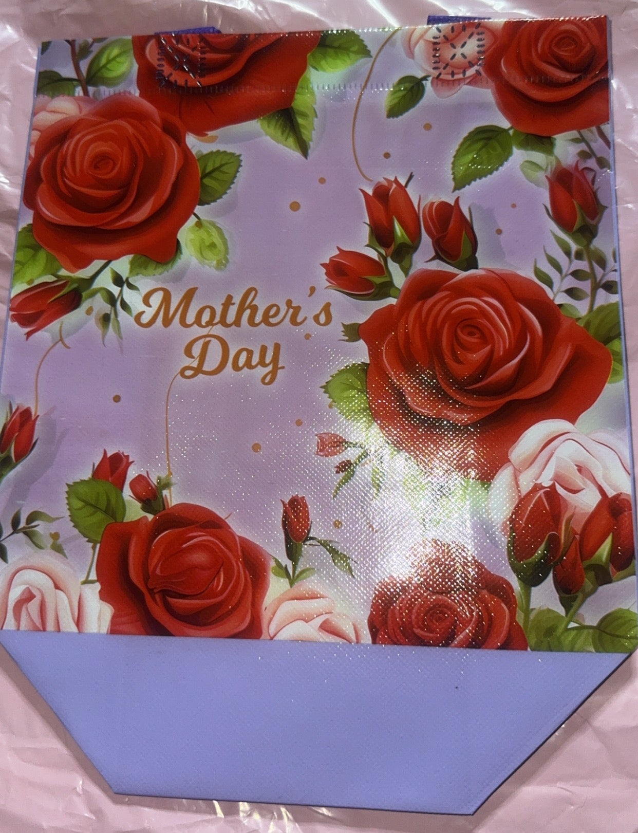 Reusable Reg Bag