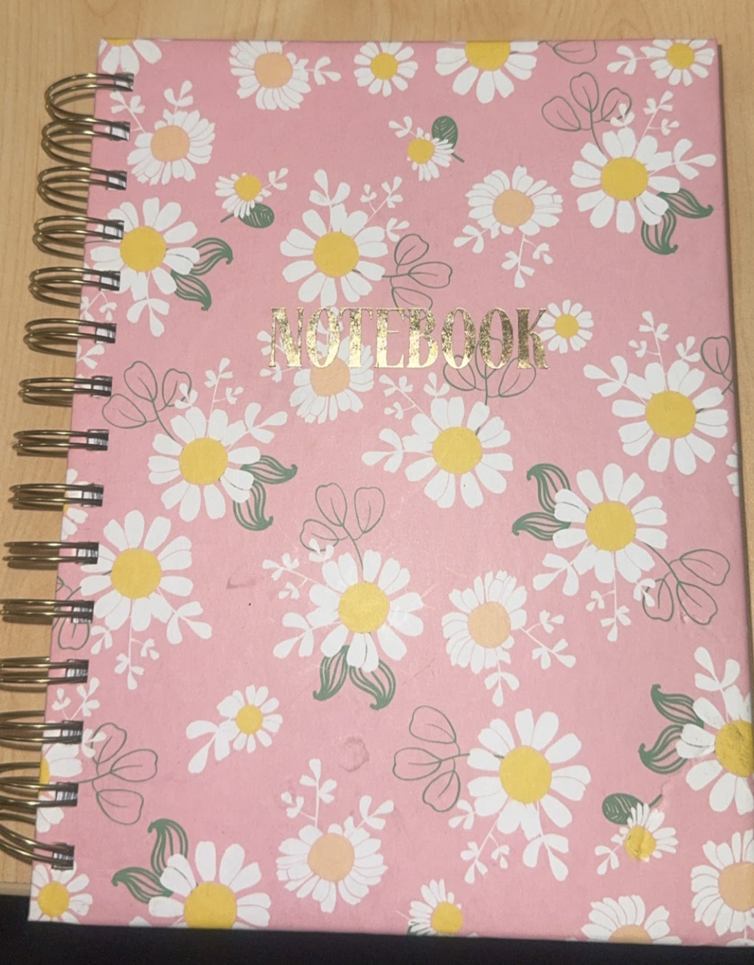 Large Journal/ Notebook