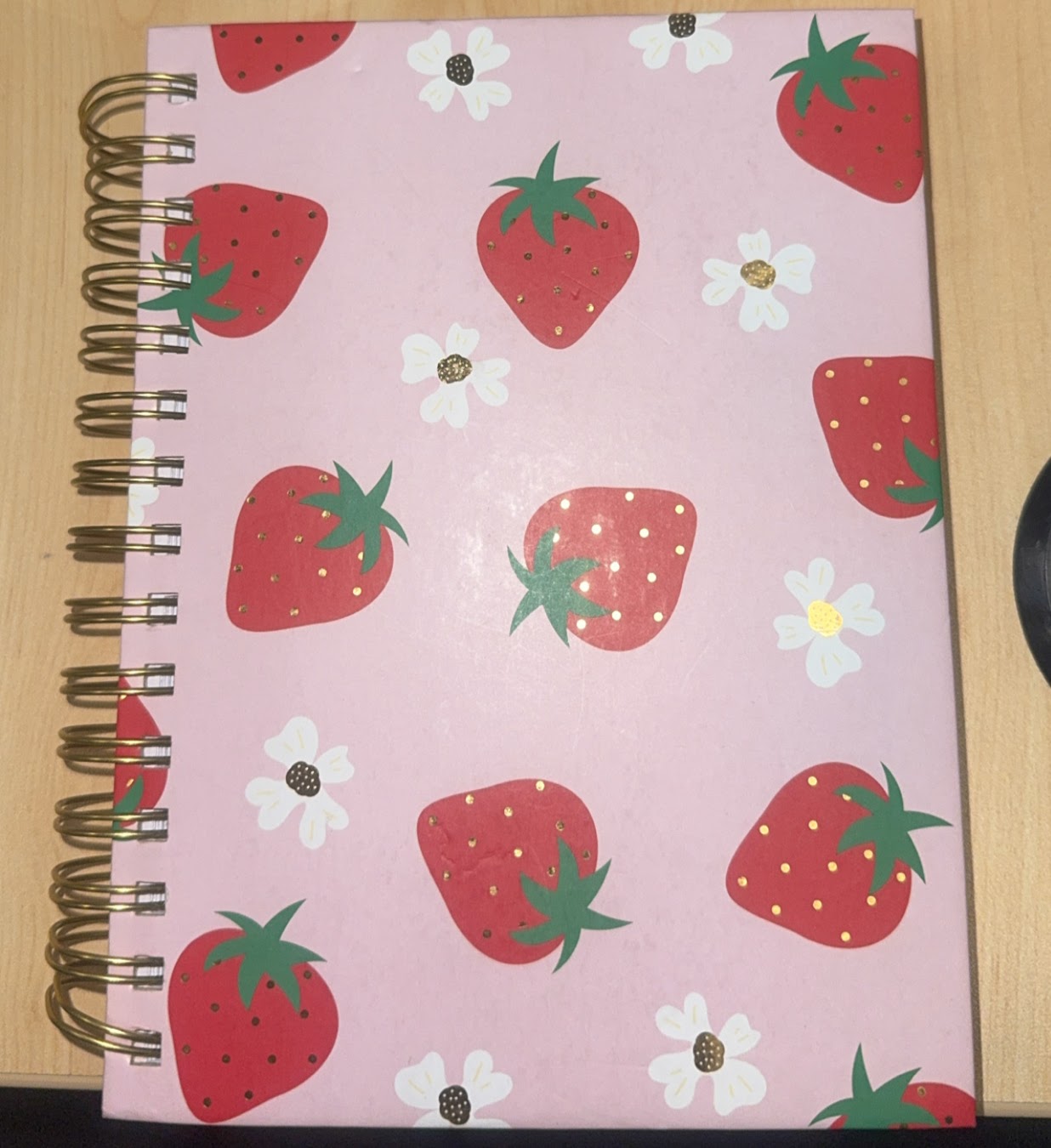 Large Journal/ Notebook